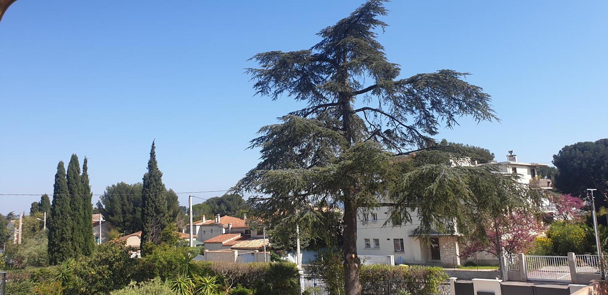 Les Vagues Bleues Apartment La Ciotat Exterior photo